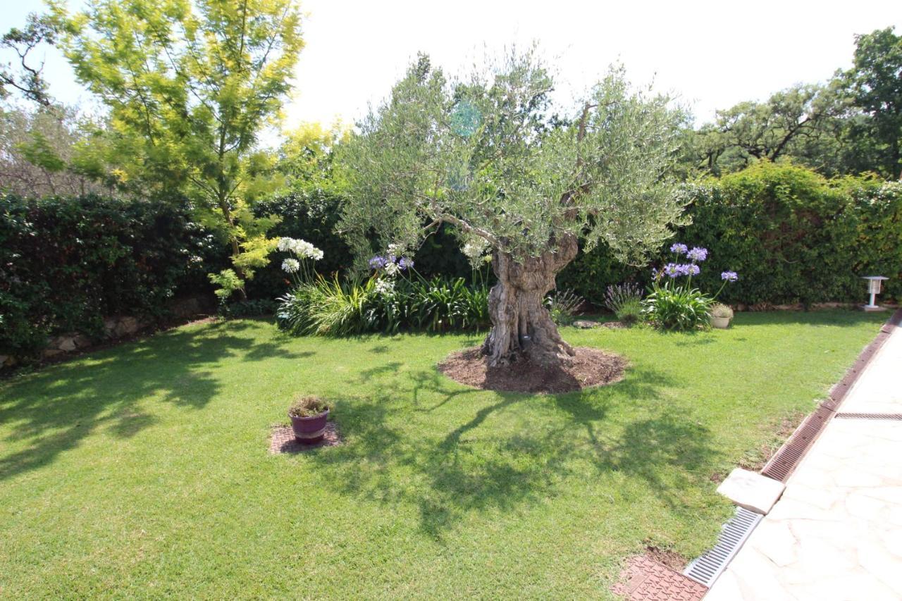 Villa Jalna Chambre, Suites Et Appartement Roquefort Les Pins Exterior foto